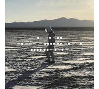 Spiritualized And Nothing Hurt (Vinyl)