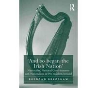 'And so began the Irish Nation': Nationality, National Consciousness and Nationalism in Pre-modern Ireland - [Version Originale] Inconnu (Auteur)
