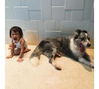 And So I Watch You From Afar The Endless Shimmering (Vinyl) 12" Album