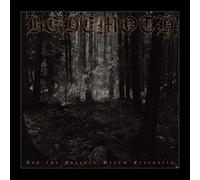 And the Forests Dream Eternally