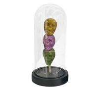 and the rose for women - Roses lumineuses dans un dôme en verre - pour bibliothèque - Décorations de fête (rouge) Htw176 (A, 21 x 9 cm)