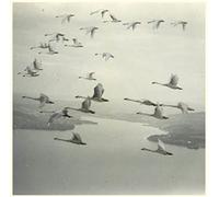 And The World Was Gone [12" Vinyl]