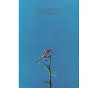 and The Ys Street Band