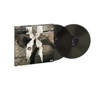 And Then There Was X - Vinyle