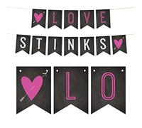 Andaz Press Funky Witty Guirlande de fanions à suspendre en papier pour fête de Saint-Valentin Motif Love Stinks, env. 2,1 m