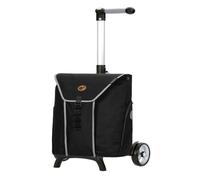 Andersen Shopper Unus Shopper Fun Bahne Chariot à provisions 54 cm gris