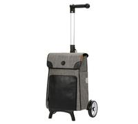 Andersen Shopper Unus Shopper Fun Elik Chariot à provisions 48 cm gris