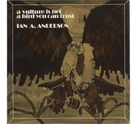 Anderson, Ian a. - A Vulture is Not a Bird You Can Trust [Import]