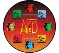 Anderson Ponty Band – Better Late Than Never – Vinyle LP (Import)