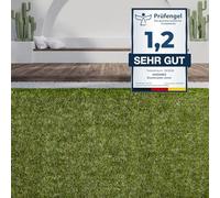 andiamo Jever Gazon Artificiel Vert en Rouleau pour terrasse, Balcon, Couleur : Vert, Dimensions : 100 x 200 cm