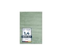 andiamo Tapis Arezzo Lavable pour Salon, Salle à Manger, Facile d'entretien, élégant et Confortable, Tapis de Salon, en Fourrure, Couleur Unie, 80 x 150 cm, Vert Sauge
