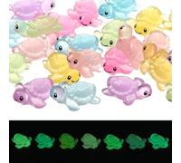 Andibro Lot de 24 mini tortues lumineuses en résine multicolores phosphorescentes pour maison de poupée, jardin féérique