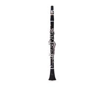 Andoer® Clarinette en bakélite plaqué nickel, 17 clés en Si♭, soprano - Livrée avec chiffon de nettoyage pour graisse à liège, gants, 10 anches, tournevis