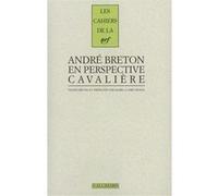 André Breton en perspective cavalière Collectif (Auteur), Marie-Claire Dumas (Edité par)