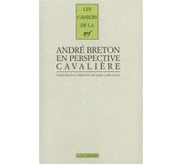 André Breton en perspective cavalière - Collectif - Gallimard - broché - Livre