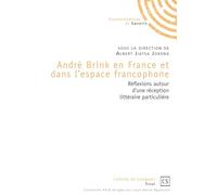 André Brink en France et dans l'espace francophone