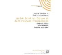 André Brink en France et dans l'espace francophone Réflexions autour d'une réception littéraire particulière - JIATSA JOKENG-A - Publibook - broché - Essai