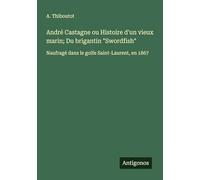 André Castagne ou Histoire d'un vieux marin; Du brigantin "Swordfish": Naufragé dans le golfe Saint-Laurent, en 1867