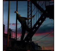 Andrea Bignasca Stranger (Vinyl) 12" Album
