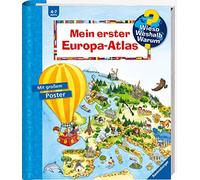 Andrea Erne Ann Wieso? Weshalb? Warum?: Mein erster (Encuadernación de anillas)