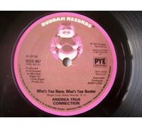 Andrea True Connection