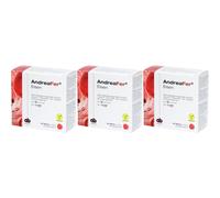 AndreaFer Fer complément avec fer, vitamines C, B6, B12 et acide folique Stick(S) 3x30 pc(s)