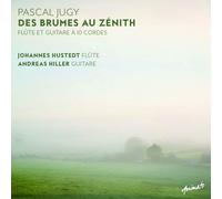 in-akustik – Des Brumes Au Zenith