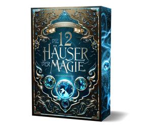 Andreas Suchane Die 12 Häuser der Magie - Schicksalswächter: Softcover m (Poche)