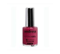 Andreia Professional Hybrid Gel Fusion Color Esmalte H21 10.5ml