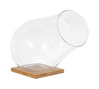 ANDRESLAD Ensemble de Récipients en Verre pour Plantes Succulentes Plateau Décoratif pour Plantes Centre de Table pour La Maison Et Le Mariage