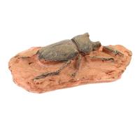 ANDRESLAD Fossile Décoratif D’Insecte d Modèle, Spécimen Paléontologique Miniature pour Collection et Enseignement des Sciences, Décoration Éducative Légère et Portable, Insecte Fossile