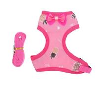 ANDRESLAD Harnais pour Coq de Compagnie Ajustable en Tissu Rose Motif Ananas M, Laisse de Traction Extérieure pour Poules, Ensemble de Gilet et Corde pour Promenade Sûre et Confortable