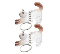 ANDRESLAD Lot de 2 Porte-clés Souvenirs Transparents de Chat, Capsules Commémoratives Légères pour Poils de Chat, Boîtes à Rangement Compactes, Idée Présent pour Amoureux des Animaux