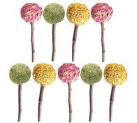 ANDRESLAD Lot de 9 Bâtonnets à Mâcher pour Petits Animaux Jouets de Dentition en Assortiment 3 Sucettes Rose Souci et Foin Adaptés pour Lapins Cochons D’Inde Hamsters