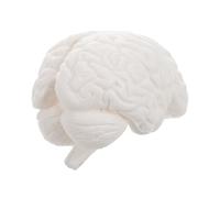 ANDRESLAD Modèle Cerveau Humain Détachable Parties Blanc Outil Pédagogique Anatomie Cerveau Enseignement Biologie Psychologie