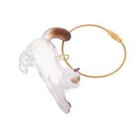 ANDRESLAD Porte-Clés Transparent de Chat pour Rangement de Poils D’Animaux Boîte Capsule Commémorative Compacte Collectionneur de Souvenirs de Moustaches Accessoire de Voyage Pratique