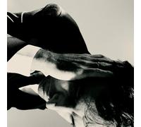 Andrew Bird - À L'Intérieur Problems (2022) LP Transparent Vinyl Précommande