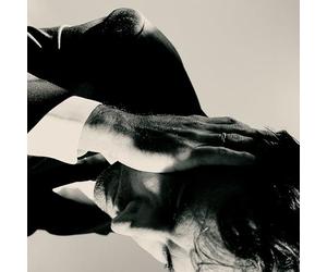 Andrew Bird - Andrew Bird: Inside Problems