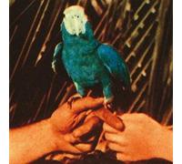 Andrew Bird – Are You Serious – Vinyle 12"