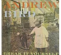 Andrew Bird - Break It Yourself