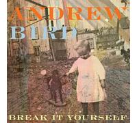 Andrew Bird Break It Yourself (CD)