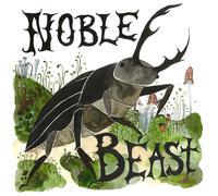 Andrew Bird – Noble Beast – CD – Édition deluxe (CD bonus)