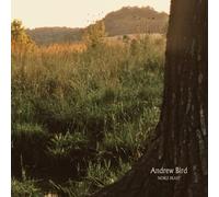 Andrew Bird – Noble Beast – Vinyle (Import)