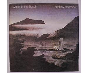 ANDREW CRONSHAW - wade in the flood LP