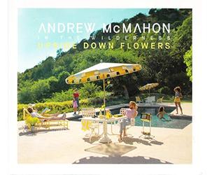 Andrew Mcmahon in the Wil - Upside Down Flowers