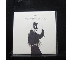 ANDREW RIDGELEY - SHAKE 7 INCH (7" VINYL 45) UK EPIC 1990