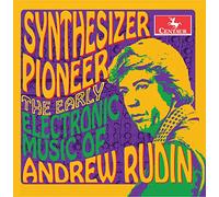 Andrew Rudin - Synthesizer Pioneer