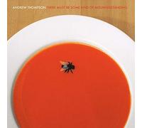 Andrew Thompson - There Must Be Some Kind Of Misunderstanding [12" VINYL]