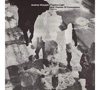 Andrew Wasylyk - Fugitive Light and Themes of Consolation [Import]
