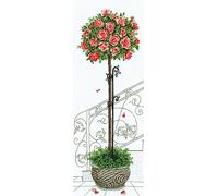 Andriana SiuvinÄ-jimo rinkinys SANR-17